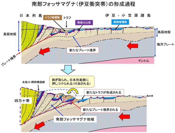 マグナ と は フォッサ