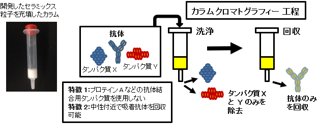 概要図