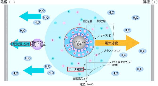 æ¦è¦å³