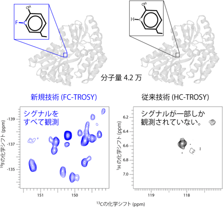 図1