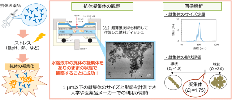 概要図