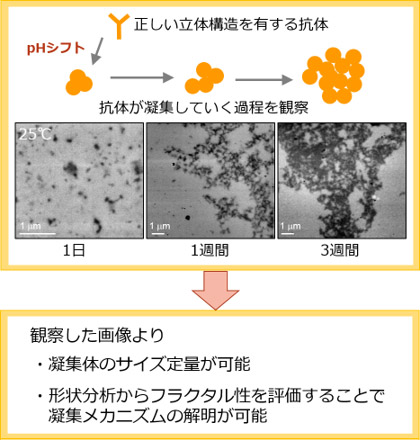 図3