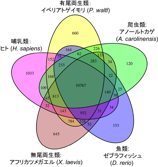 図3