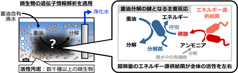 概要図