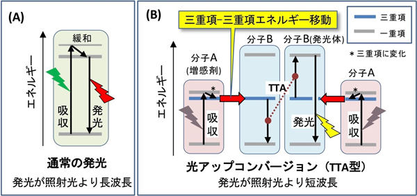 TTA-UCの説明図