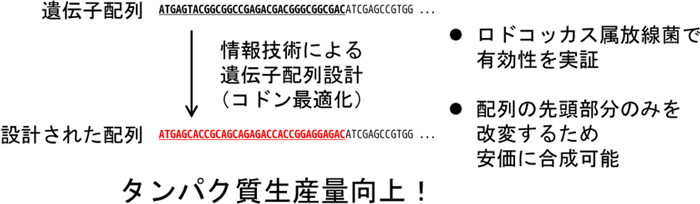 概要図