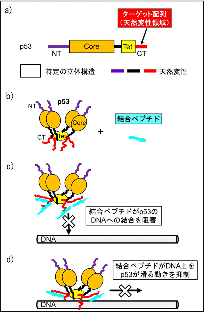 図4