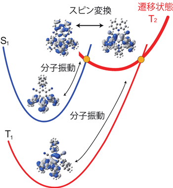 概略図