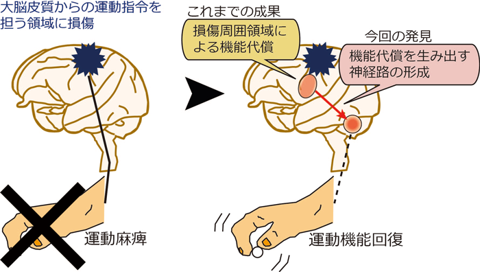 概要図