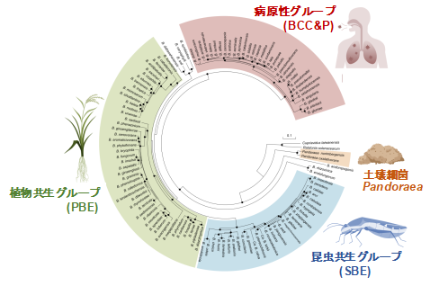 図2