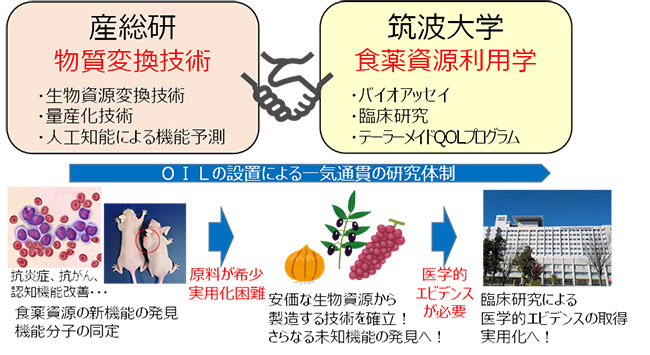 概要図