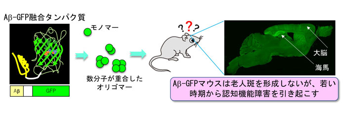 概要図