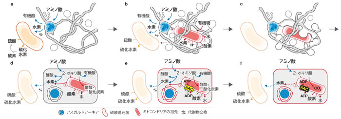 図4