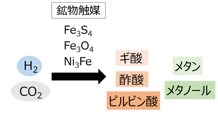 生命工学領域の最近の研究成果の概要図