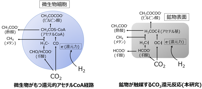 図2