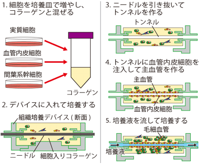 図1