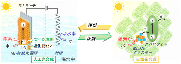 概要図