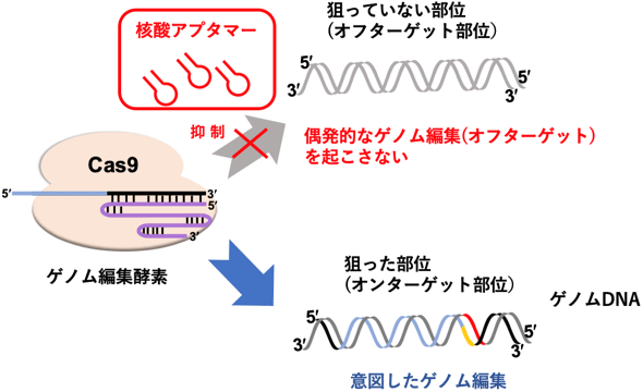 概要図