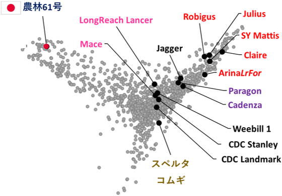 図2