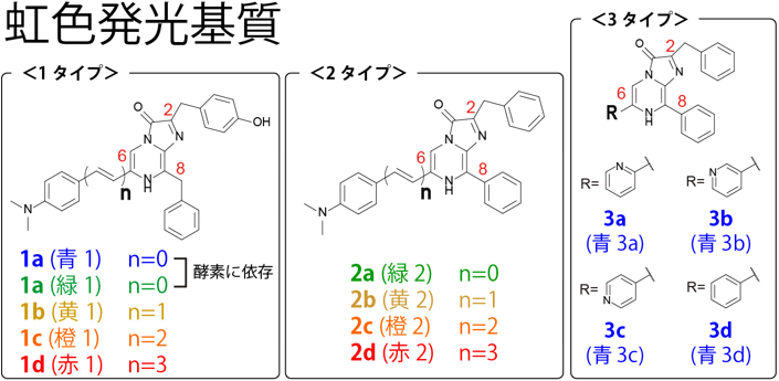 図1