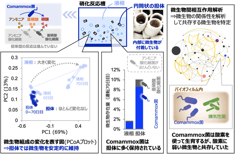 図2