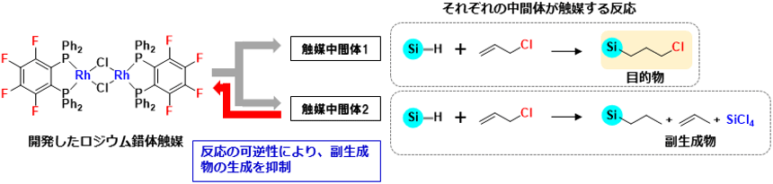 産総研：有機ケイ素原料を効率的に合成できるロジウム錯体触媒を開発