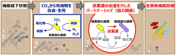 概要図