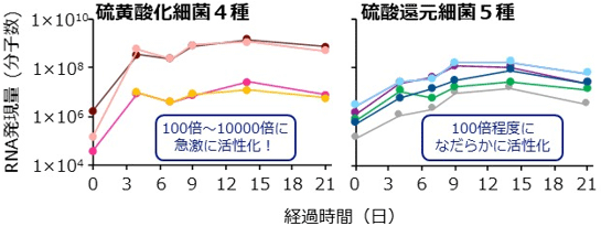 図2