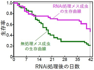 図5