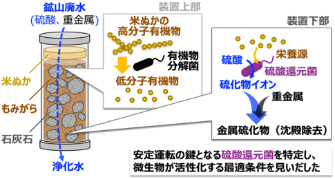 概要図