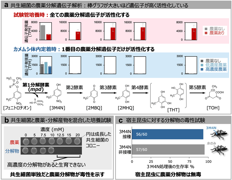 図2