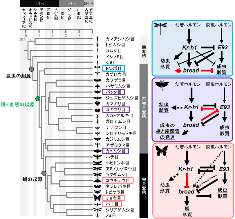 図7