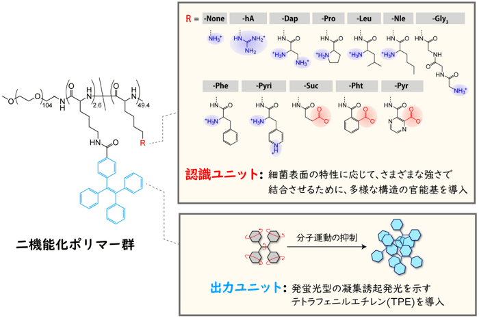 図1