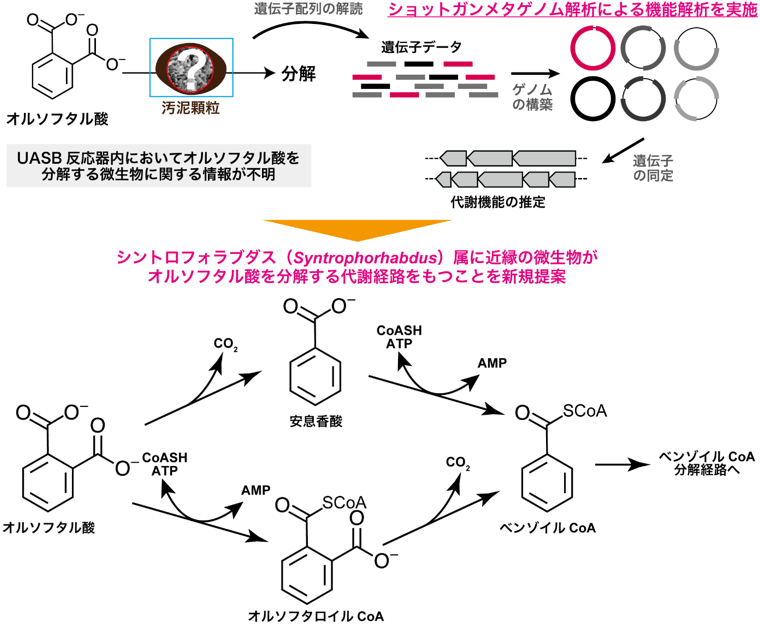 図2