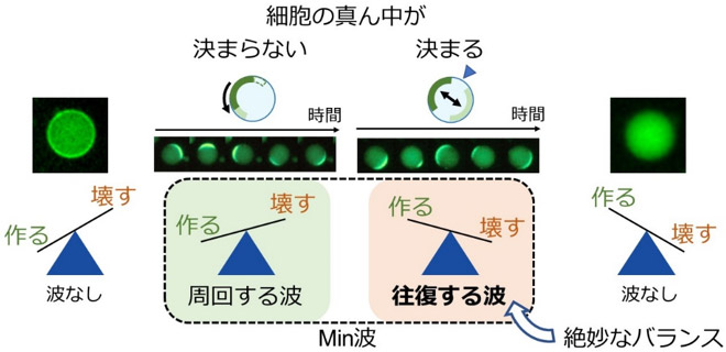 図1