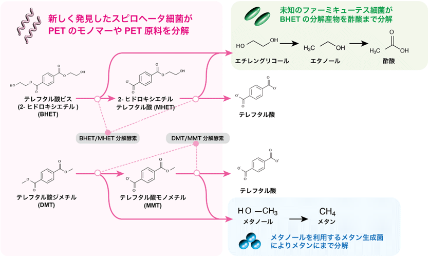 図2