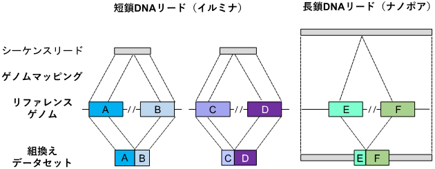 図2