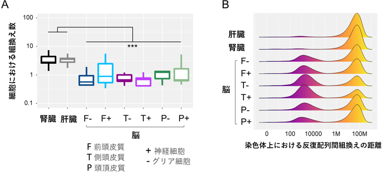 図3