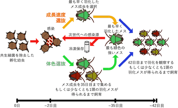 図3