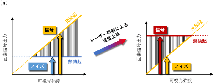 図1（a）