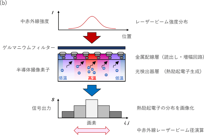 図1（b）