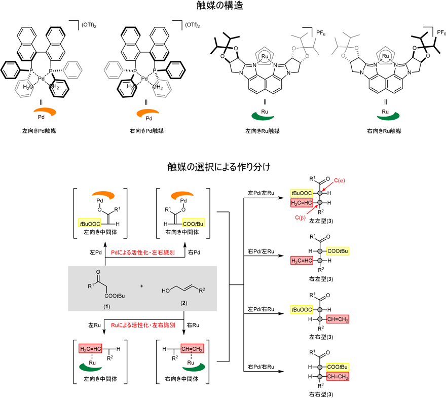 図1