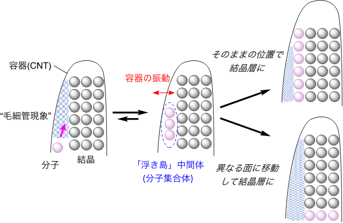 図5