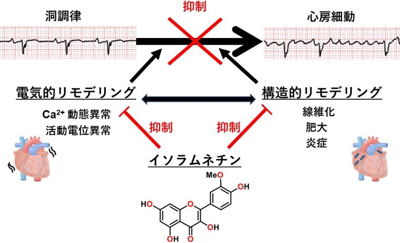 概要図