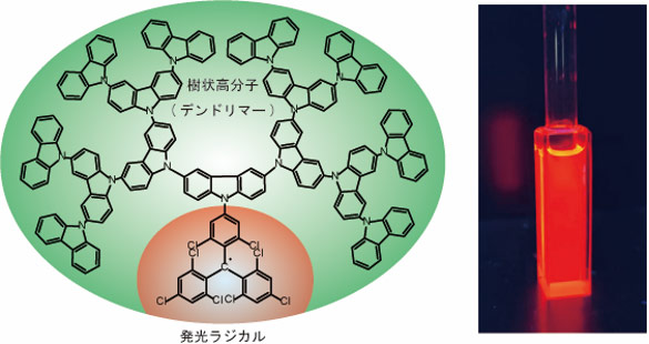 概要図