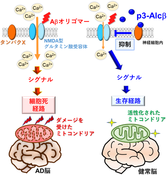 図1