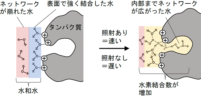 概要図