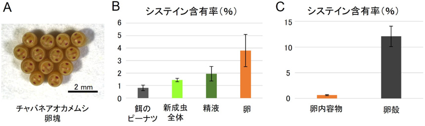 図3