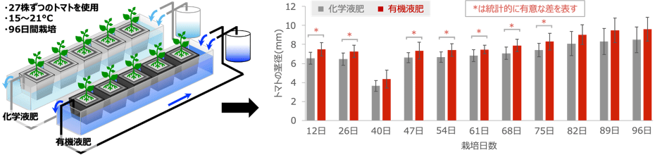 図1