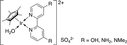 イリジウム錯体触媒説明図